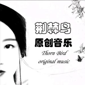 荆棘鸟原创音乐头像