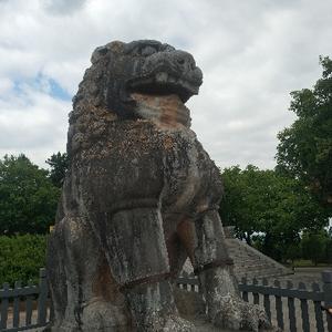 作家—彦卿头像