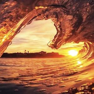 浴火重生金生水起头像