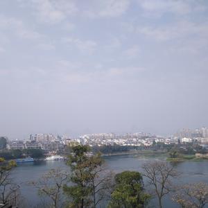 向学霸进军头像