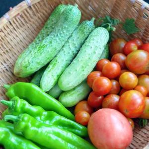 美食记头像