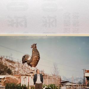 残阳如血9q8A头像