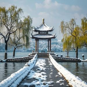 森林中露营的达人范头像
