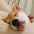 xiaobobo186头像