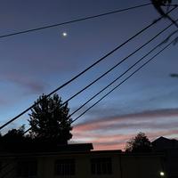 不是去流浪头像