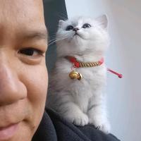 大海小疆头像