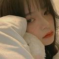 小熊Shearer头像