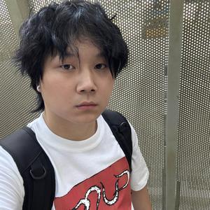 东京苹果头像
