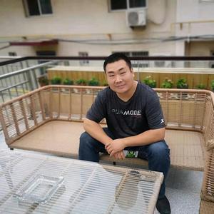 小岛狐狸哥头像