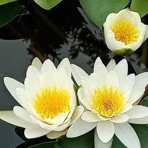 小春8730头像
