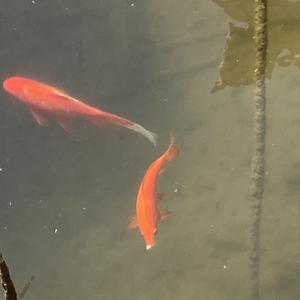 微笑阳光smily头像