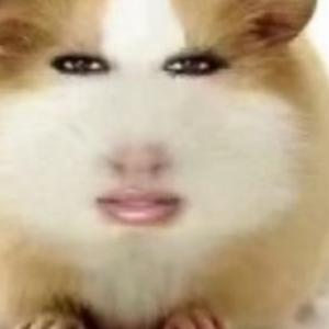 星球动画#卓越头像