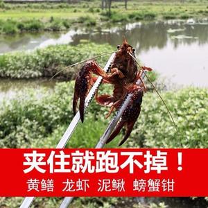 远方远行头像