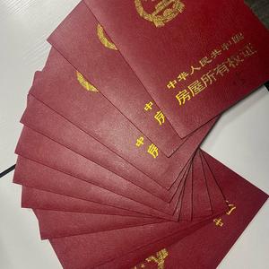 郑州老杨超靠谱头像