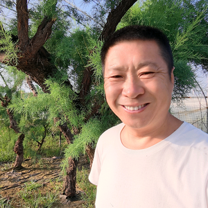桩园花卉苗木头像