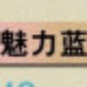 魅力蓝406头像