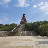 自游大地头像