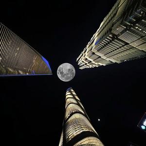 黑哥说事头像