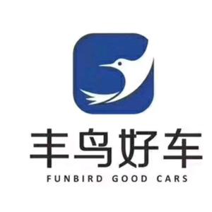 丰鸟好车头像