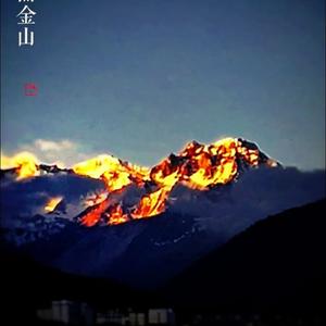 xb213828雪冰头像