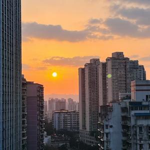 正大光明出去流浪头像