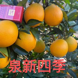 无人机植保吊运头像