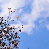 才思敏捷的分秒必争啦啦啦啦啦头像