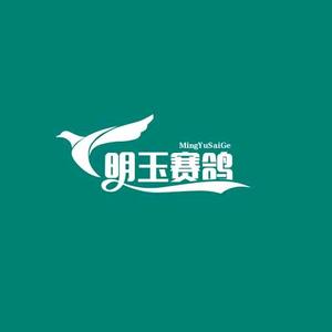 爱生活爱赛鸽明玉鸽舍头像