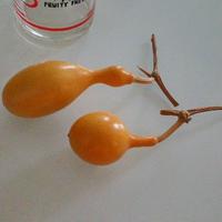 美食家汾河雷达头像