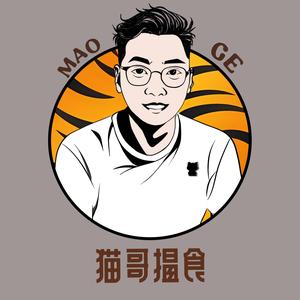 猫哥揾食头像