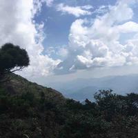 眼前的风景是人生头像