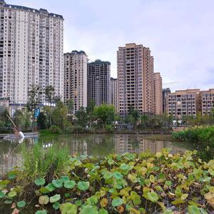 丶羙仯丶亾泩丶头像