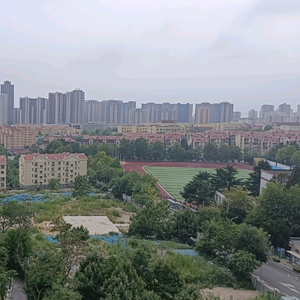 清池皓月