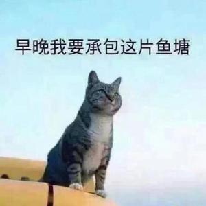 云龙兄头像