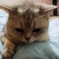 尼想什么呐头像