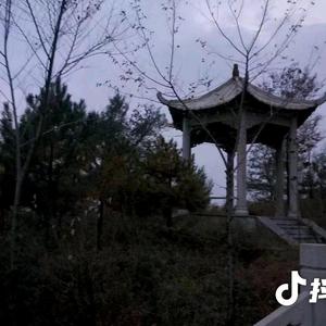 高山流水cxr头像