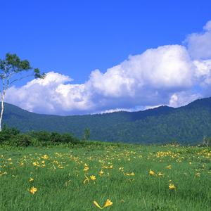随便吧生活嘛头像