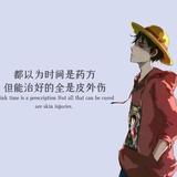 芝士少年白马醉春风头像