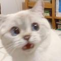 相宜同学头像