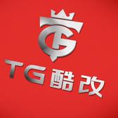 TG酷改·新能源头像