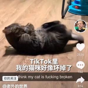 能否做我的小观众头像
