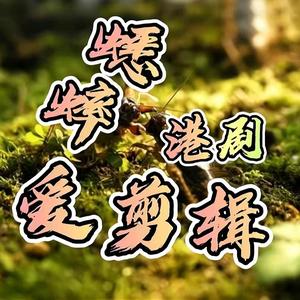 蟋蟀爱剪辑视频头像