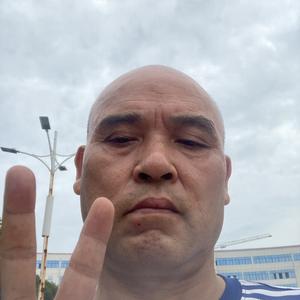一起分享学习进步头像