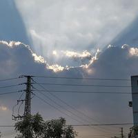 聪明铁力0c头像