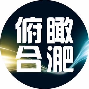 俯瞰合淝头像
