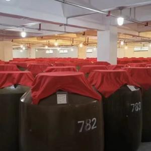 自在陈果头像