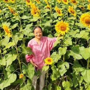 巧华806头像