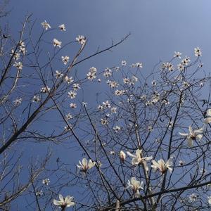我和我是兄弟头像