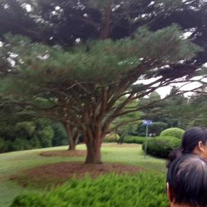 日月清风头像