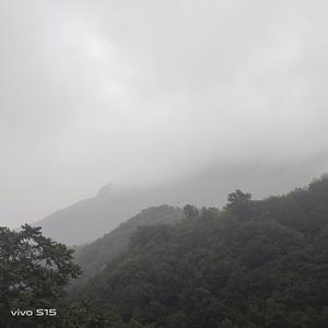 睿祥科技6头像